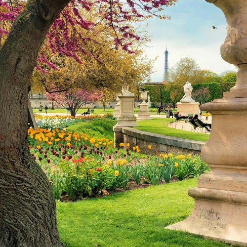 günstige Gartenbauer und Landschaftsbauer in der Nähe finden